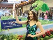 M&A vẽ bức tranh mới trong kỷ nguyên Covid