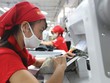 Doanh nghiệp dệt may kỳ vọng trở lại đường đua