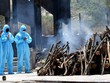 Chuyên gia WHO chỉ ra nguyên nhân dịch Covid-19 tăng theo “chiều thẳng đứng” ở Ấn Độ