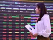 VN-Index không thoát khỏi cảnh rơi vào sắc đỏ