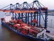 Lãi lớn, nhóm cổ phiếu logistics gia tăng sức hấp dẫn
