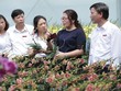 Hơn 30 năm đổi mới, tự hào là “Điểm tựa” của nền nông nghiệp Việt Nam