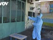 Quảng Ngãi có 41 ca dương tính với SARS-CoV-2, nhiều ca chưa rõ nguồn lây