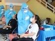 Lên phương án điều trị tới 15.000 ca bệnh COVID-19 tại TP.HCM
