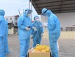 Sáng 30/7: Việt Nam ghi nhận thêm 4.992 ca dương tính mới với Covid-19