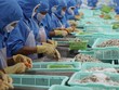 Doanh nghiệp chế biến thực phẩm phục hồi tích cực