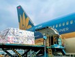 Vietnam Airlines gồng mình qua tâm bão