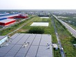 Bất động sản công nghiệp: Giá thuê ít biến động, dòng đầu tư tiếp tục tăng