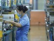 Triển vọng cổ phiếu ngành từ bức tranh vĩ mô