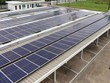 Doanh nghiệp điện mặt trời lãi đột biến