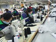 Những doanh nghiệp thắng lớn nhờ chuyển đổi số