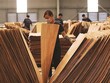 Mỹ gia hạn ban hành kết luận chống lẩn tránh thuế với gỗ dán Việt Nam
