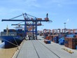 Tổng giá trị xuất nhập khẩu hàng hóa của Việt Nam đạt gần 430 tỷ USD