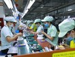 Hơn 80 nghìn người lao động mất việc sẽ được nhận hỗ trợ 1 triệu đồng/người từ Bảo hiểm xã hội Việt Nam