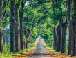 Được ví như “Đà Lạt thứ 2”, đâu là lực đẩy đưa du lịch Gia Lai cất cánh?