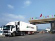 Trung Quốc thông quan nhập khẩu trở lại với thanh long Việt Nam