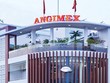 Angimex (AGM): Câu chuyện M&A thiếu tính thuyết phục