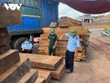 Các lực lượng chức năng Quảng Trị bắt xe chở gỗ lậu và đá phấn trị giá trên 29 tỷ đồng