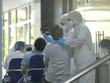 Bộ Y tế thông tin liên quan việc xét nghiệm kháng thể SARS-CoV-2