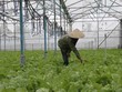 Thủ tướng Chính phủ ban hành quy định về ưu đãi đầu tư đặc biệt