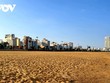 Bình Định cho phép mở lại một số hoạt động kinh doanh, dịch vụ