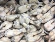 Liên minh châu Âu có 2 cảnh báo với sản phẩm xuất khẩu của Việt Nam