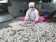 Xuất khẩu thủy sản: Chông chênh con đường hồi phục