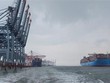 Hàng container qua cảng biển tiếp đà tăng trưởng hai con số