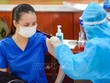 Quỹ vaccine phòng COVID-19 đã nhận được hơn 8.788 tỷ đồng