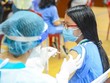 Đà Nẵng chưa cho học sinh đi học trở lại từ 15/11 như dự kiến
