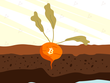 Giá Bitcoin hôm nay ngày 12/11: Giới đầu tư kỳ vọng bản nâng cấp Taproot sẽ đem đến luồng gió mới cho Bitcoin