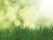 Phát triển bền vững: Động lực lâu bền cho tăng trưởng
