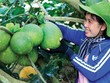 Tìm giải pháp thúc đẩy tài chính toàn diện