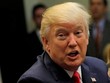 Trump ca ngợi EU về cách ứng phó Anh rời liên minh