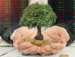Thị trường chứng khoán vẫn ủng hộ xu hướng đầu tư giá trị