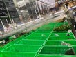 TP.HCM: Nhiều người khó mua được rau củ, thịt cá