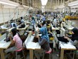 Kinh tế ASEAN sẽ phục hồi trong năm sau