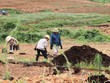 Đề nghị truy tố 12 bị can gây thiệt hại hơn 1.500 tỷ đồng trong vụ Trần Bắc Hà