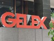 GELEX (GEX) hoàn thành mục tiêu hợp nhất Viglacera