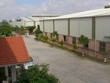 Nợ “ngập đầu”, CTCP Cửu Long bị phát mại nhà máy chế biến gỗ