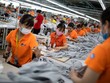Các quốc gia châu Á thu hẹp sản xuất, ngoại trừ Trung Quốc