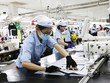 Tập đoàn Dệt May Việt Nam (VGT): 9 tháng đầu năm giảm được 1.489 tỷ đồng nợ vay