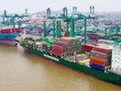 Một nhà đầu tư cá nhân vừa nâng sở hữu lên 6,9% vốn điều lệ tại Tập đoàn Container Việt Nam (VSC)
