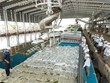 Cổ đông lớn Phân bón Dầu khí Cà Mau (DCM) đăng ký bán 2 triệu cổ phiếu