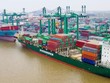 Nhóm cổ đông cá nhân vừa mua vào 481.100 cổ phiếu tại Tập đoàn Container Việt Nam (VSC) để nâng sở hữu lên 6,12%