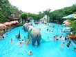 Công viên nước Đầm Sen (DSN): Doanh thu năm 2020 đạt 84,2 tỷ đồng, giảm gần 62%