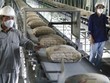 Xi măng Bỉm Sơn (BCC): Năm 2020, lợi nhuận đạt 144,9 tỷ đồng, tăng 17,6%