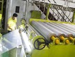Rạng Đông Holding (RDP) chuẩn bị phát hành thêm 6,57 triệu cổ phiếu