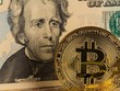 Nhận tiền từ gói kích thích mới, người Mỹ có thể dùng để đầu tư bitcoin hoặc cổ phiếu