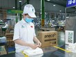 An Phát Holdings (APH) dự kiến phát hành 450 tỷ đồng trái phiếu